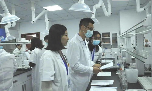 生物醫藥技能大賽圓滿落幕，生物化工產品技術研發成果斐然